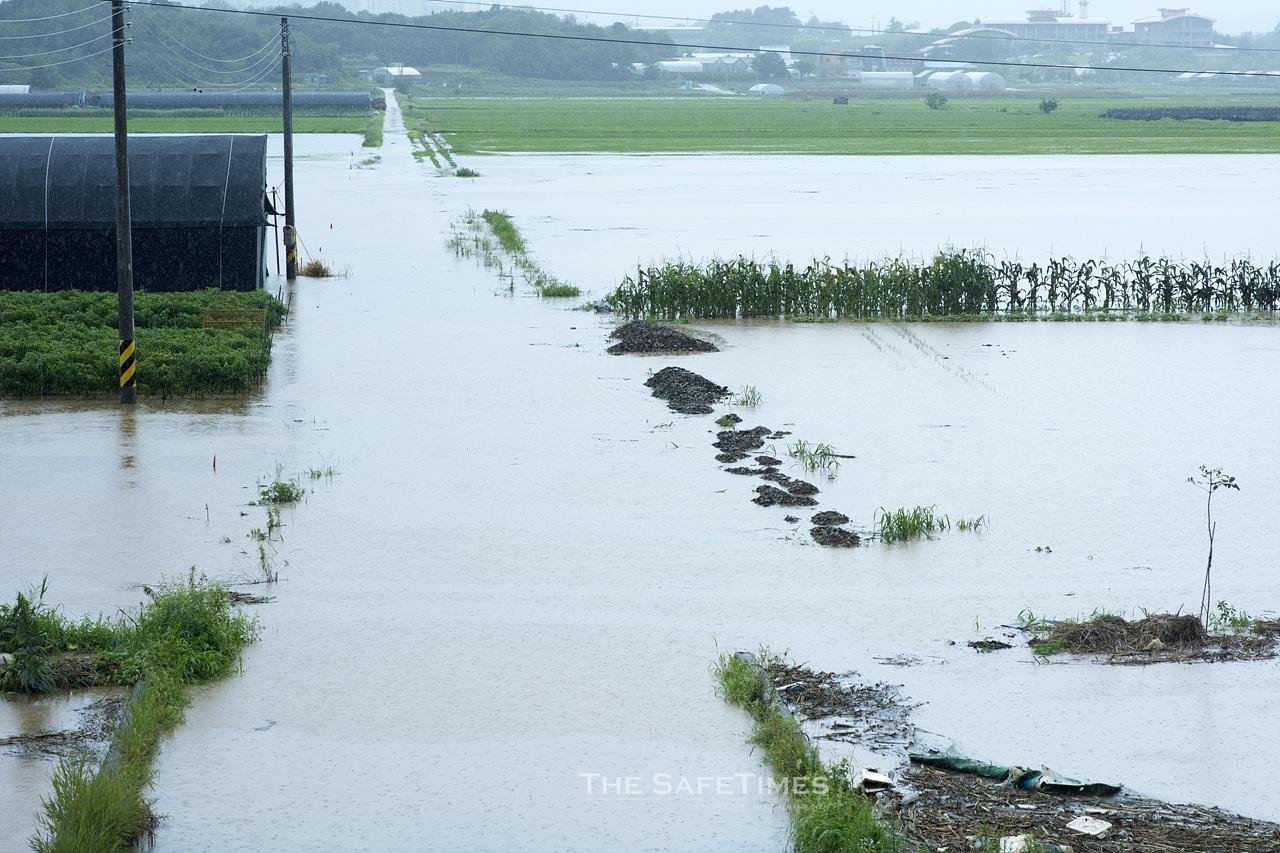 ▲ 16일 기록적인 폭우가 내린 충북 청주로 농경지가 완전히 물에 잠겨 있다. ⓒ 오건호 전문위원