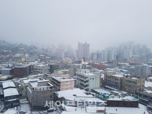 ▲ 8일 새벽부터 내린 눈으로 대구 북구 침산1동 건물에 눈이 쌓여 있다. ⓒ 독자 김수환씨