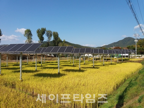 ▲ 한국수력원자력이 개발한 '영농병행 태양광 발전소'. ⓒ 한수원