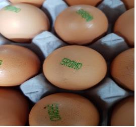 ▲ 전남 나주의 한 농가가 생산한 계란에서 살충제 성분 피프로닐 설폰이 과다 검출됐다. ⓒ 농림축산식품부