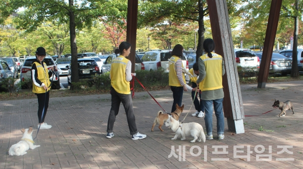 ▲ 자원봉사자와 유기견이 공원에서 산책하고 있다. ⓒ 서울시