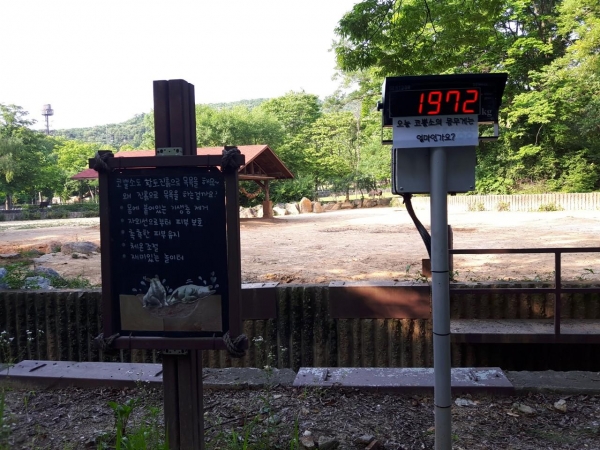 ▲ 24일 과천 서울동물원에서 몸무게가 1972kg에 달하는 코뿔소가 폭염에 자외선으로 부터 피부 보호를 위해 황토 목욕을 하고 있다. ⓒ 김향미 기자