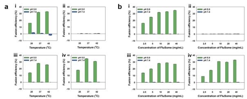 ▲ 다양한 온도(a)와 농도(b)에서 관찰되는 나노입자 융합 효율. ⓒ 한국연구재단 자료