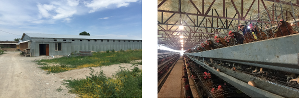 ▲  키르기스스탄 현지의 수출전진 기지 농장 ⓒ 농촌진흥청