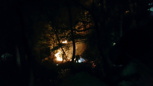 ▲ 21일 오전 2시 25분쯤 부산 금정산 금강공원에서 화재가 발생해 불길이 솟구치고 있다. ⓒ 부산경찰청