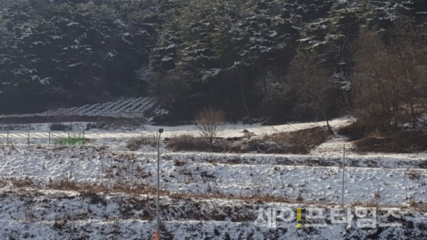 ▲ 23 일 눈이 내린 서울 양양고속도로 내린천휴게소 주변 설경. ⓒ 김덕호 기자