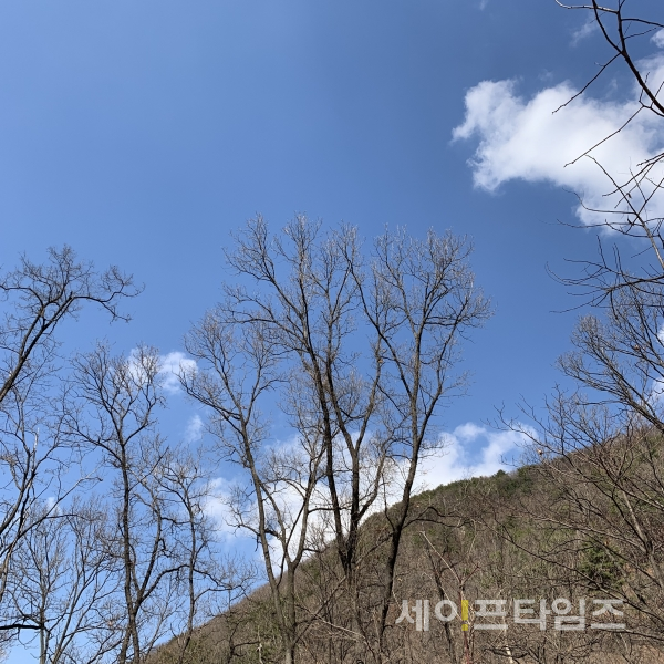 ▲ 미세먼지가 날아간 3월의 하늘이 공활하다. ⓒ 김춘만 기자