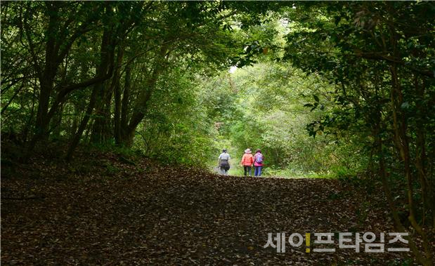 ▲ 제주 동백동산에서 관광객이 숲길을 걷고 있다. ⓒ 환경부