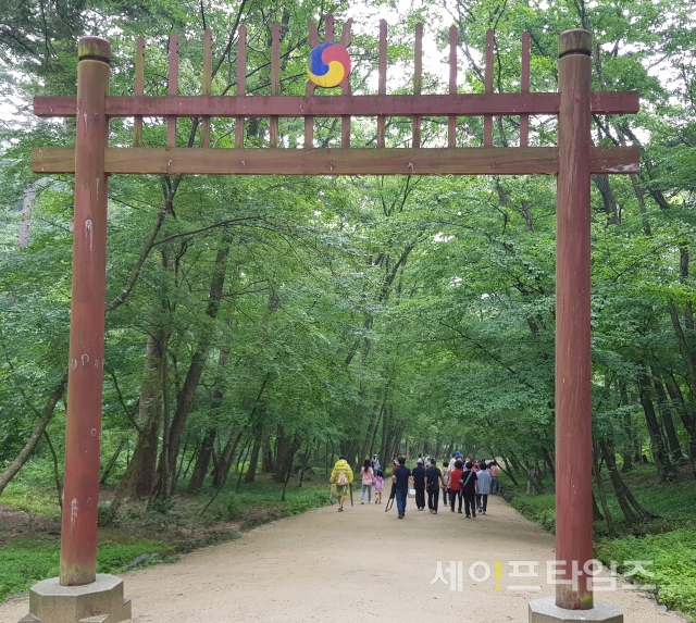 ▲ 남양주 광릉을 방문한 시민들이 숲길을 걷고 있다. ⓒ 문화재청