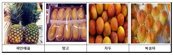 ▲ 시가 지난달 29일부터 지난 2일까지 잔류농약을 검사한 과일 품목 ⓒ 서울시
