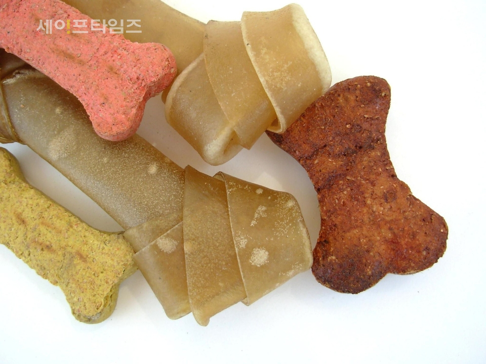 ▲ 한국소비자원이 27일 시판되는 반려동물용 수제 사료와 간식이 위생적으로 문제가 있다고 밝혔다. ⓒ 픽사베이