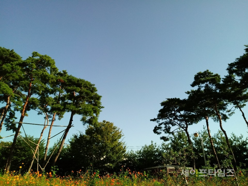 ▲ 서울 용산구 한 공원에서 바라본 하늘이 구름 한 점 없이 맑다. ⓒ 김희리 기자