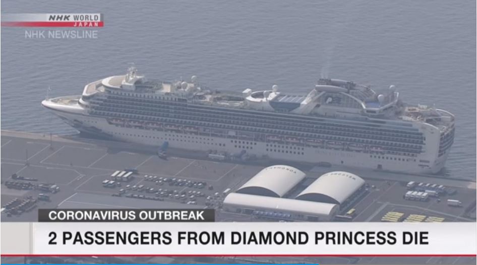 ▲ 일본 요코하마항에 정박한 '다이아몬드 프린세스'호 ⓒ NHK World 홈페이지