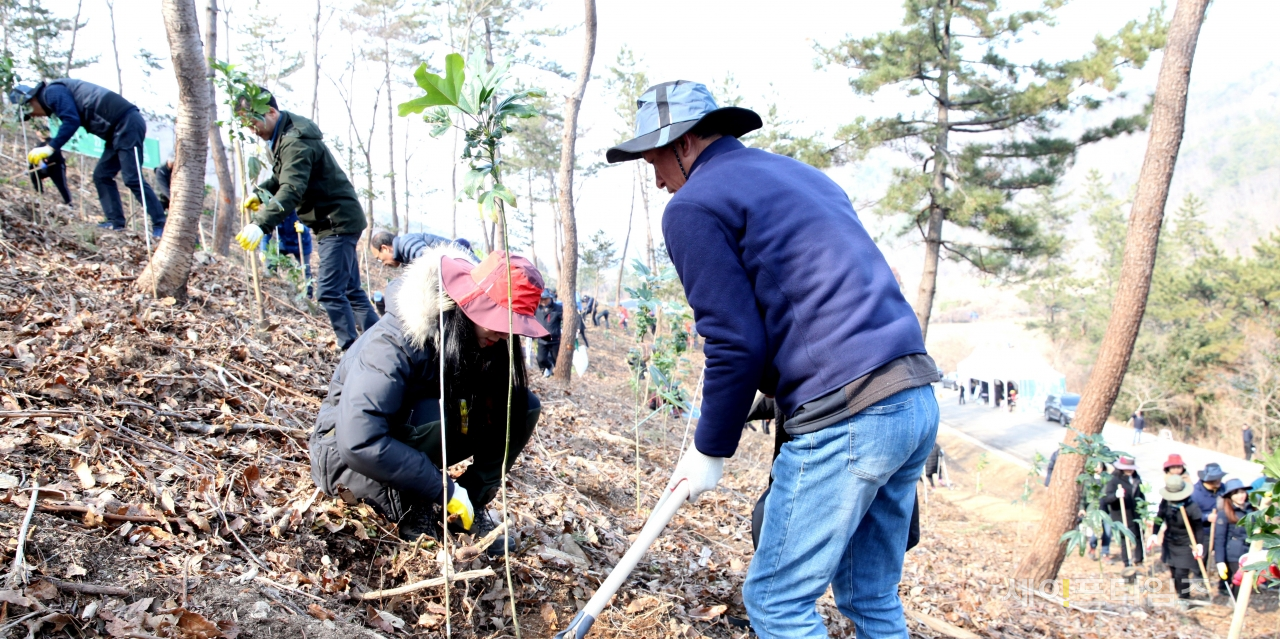 ▲ 산림청 관계자들이 지난해 2월 21일 전남 고흥에서 나무를 심고 있다. ⓒ 산림청