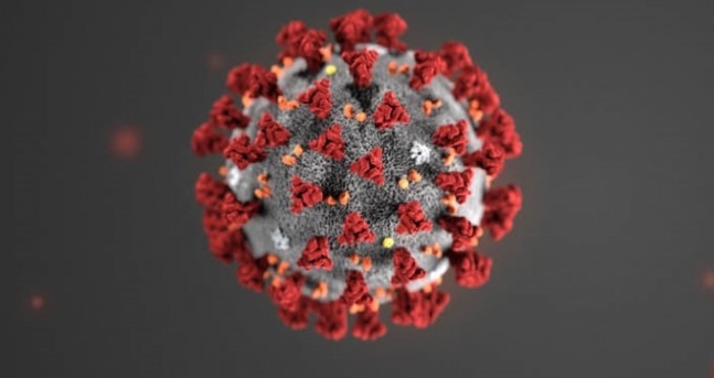 ▲ 태양의 플라스마 대기를 연상케하는 신종 코로나바이러스는 매우 빠른 전파가 위협적이다. ⓒ 미국질병통제예방센터(CDC)