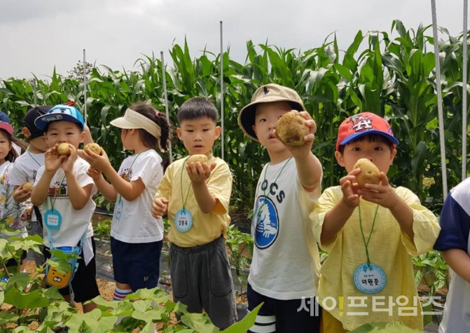 ▲ 어린이들이 힐링체험농장 감자 수확 체험을 하고 있다. ⓒ 서울시
