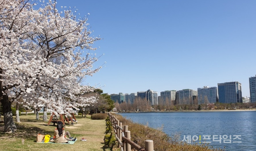 ▲ 일산 호수공원에 맑은 날씨로 시민들이 벚꽃나무 그늘에서 휴식을 하고 있다. ⓒ 이봉우 기자