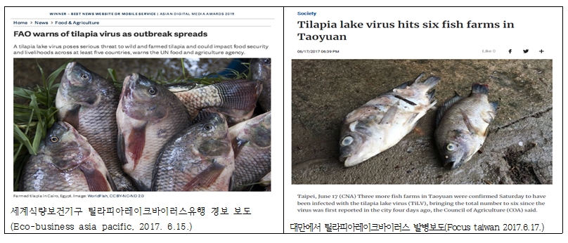 ▲ 틸라피아레이크바이러스병 해외동향 보도. ⓒ 해양수산부