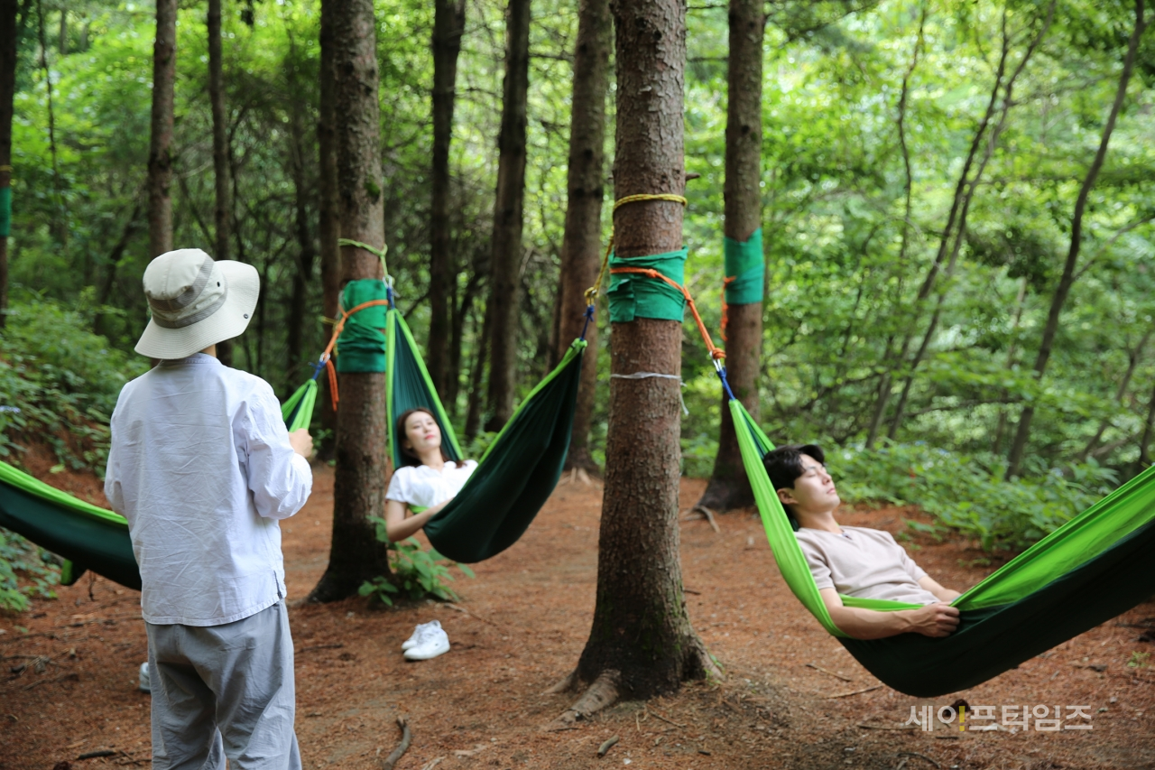 ▲ 산림청은 25일부터 경북 영주에서 코로나19 대응인력에 대한 '숲 치유 프로그램'을 운영한다. ⓒ 산림청