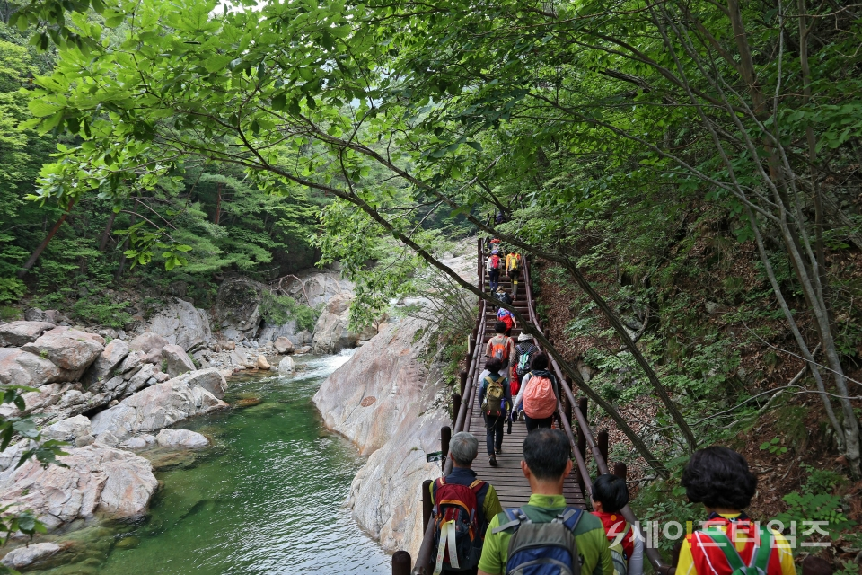 ▲ 경남 산청군이 휴가철을 맞아 체류형 힐링 숙박여행지 30곳을 선정했다. ⓒ 산청군
