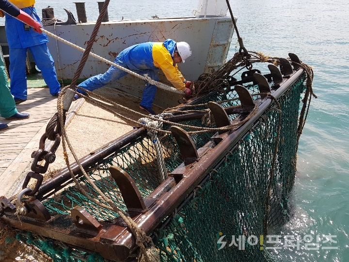 ▲ 부산시가 여름철 해양쓰레기를 수거하고 있다. ⓒ 부산시