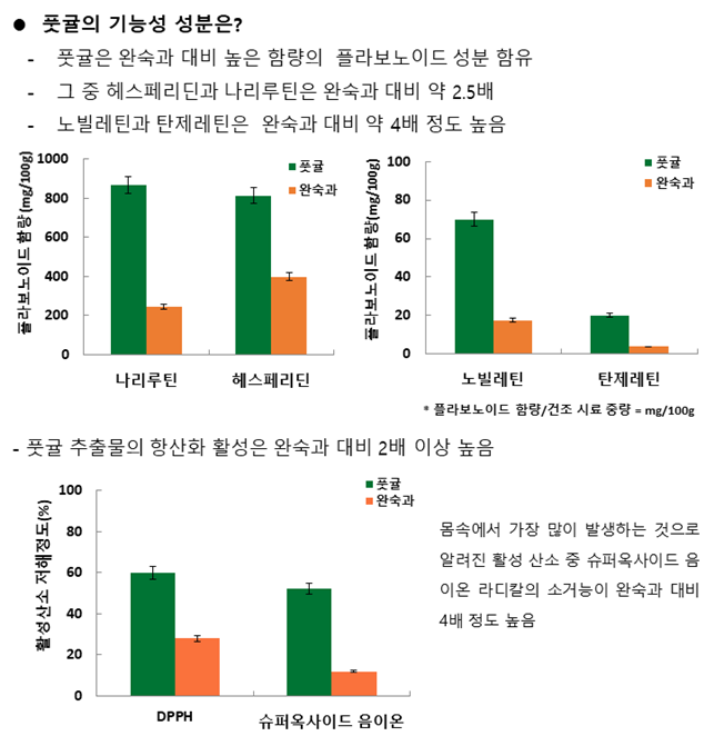 ▲ '풋귤'과 '완숙귤'의 기능성 성분 비교 ⓒ 농촌진흥청