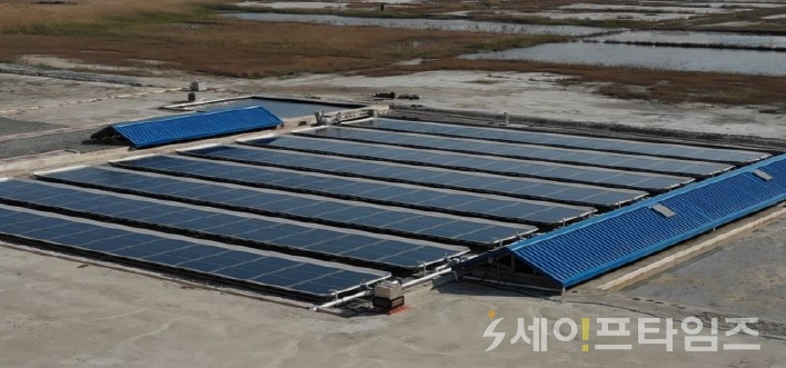 ▲ 한국전력공사가 염전태양광 발전 개발을 했다. ⓒ 한국전력공사