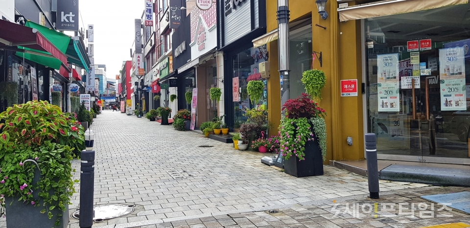 ▲ 충주의 도심 곳곳에 가을꽃을 식재해 시민들에게 좋은 호응을 얻고 있다 ⓒ 충주시