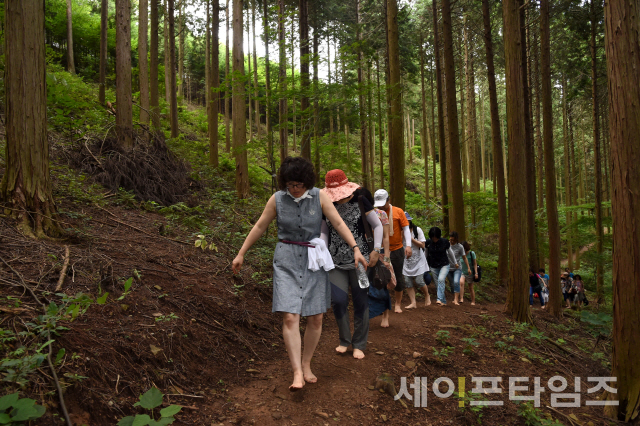 ▲ 산림치유프로그램 참가자들이 치유의 숲에서 맨발 걷기를 체험하고 있다. ⓒ 산림청