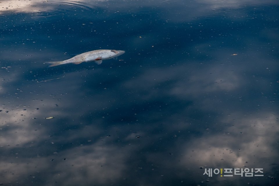 ▲ 해양수산부가 런던의정서 당사국회의에 참석해 일본 정부의 후쿠시마 방사능 오염수 해양방류 움직임에 대한 우려를 표명했다. ⓒ 세이프타임즈 DB