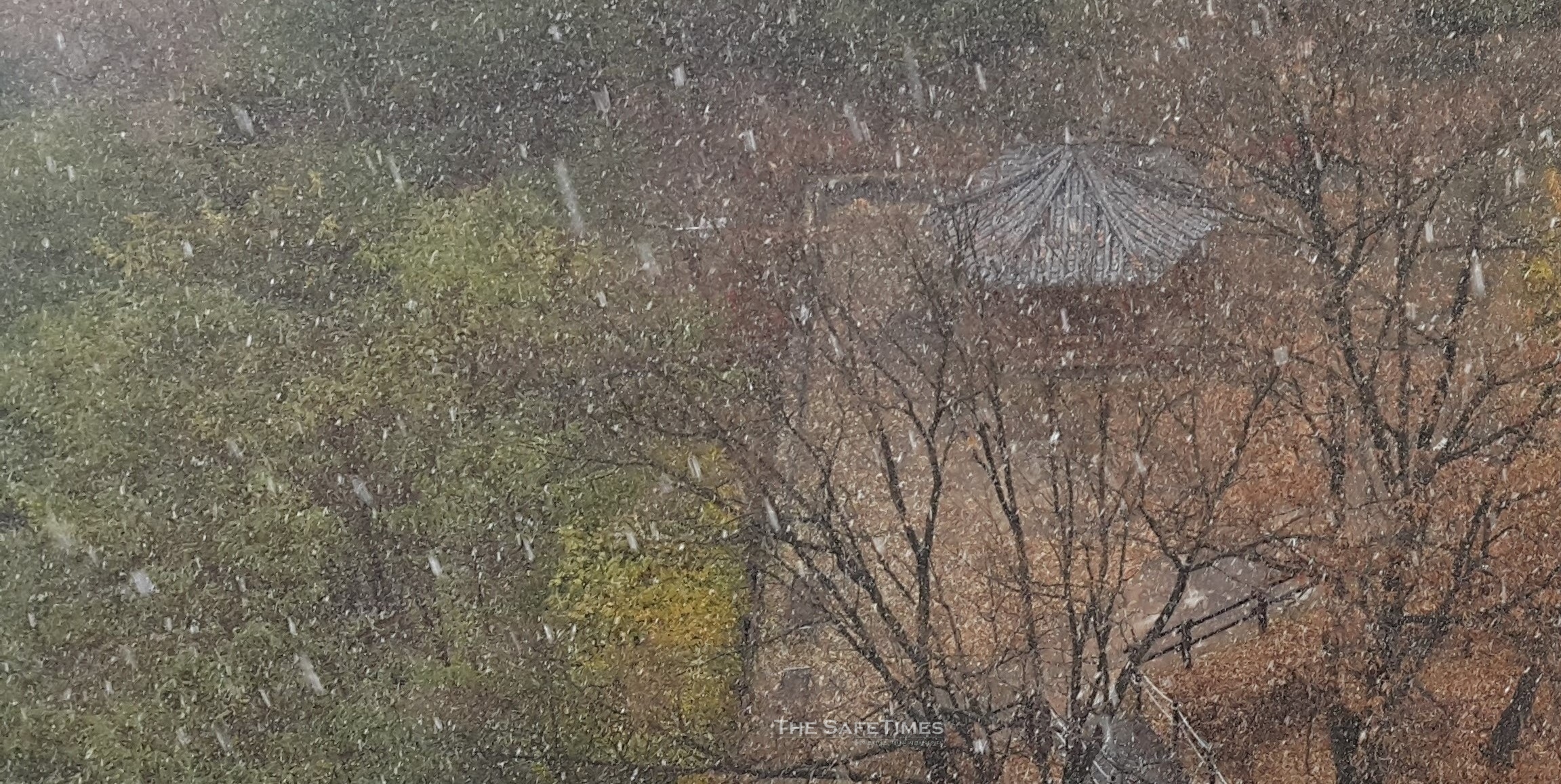 ▲ 대전시 천동 휴먼시아 아파트 공원에 눈이 내리고 있다. ⓒ 세이프타임즈 DB