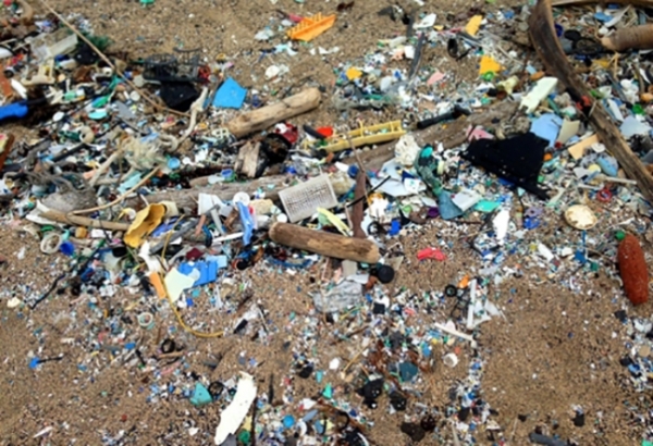 ▲ 하와이로 밀려온 플라스틱 폐기물들. ⓒ AP