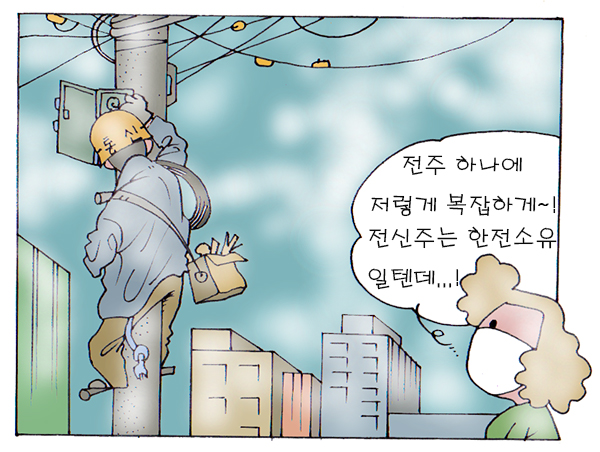▲ 전신주 하나에 통신선이... ⓒ 세이프타임즈