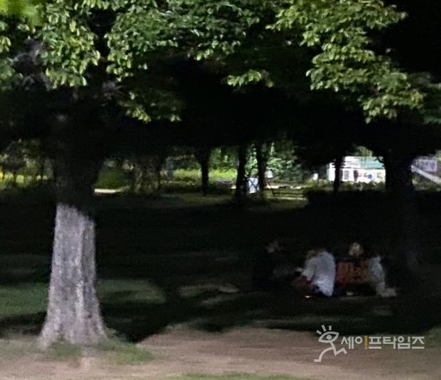 ▲ 2일 오전 1시 서울 광진구 뚝섬 한강공원에 시민들이 술판을 벌이고 있다. ⓒ 이찬우 기자