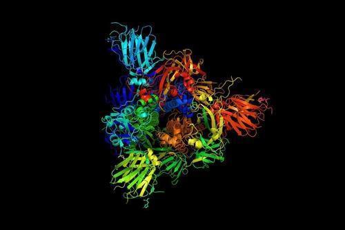 ▲ 끝없이 진동하는 신종 코로나의 스파이크 단백질 이미지 ⓒ 미국 MIT(매사추세츠 공대) Markus Buehler & Yiwen Hu