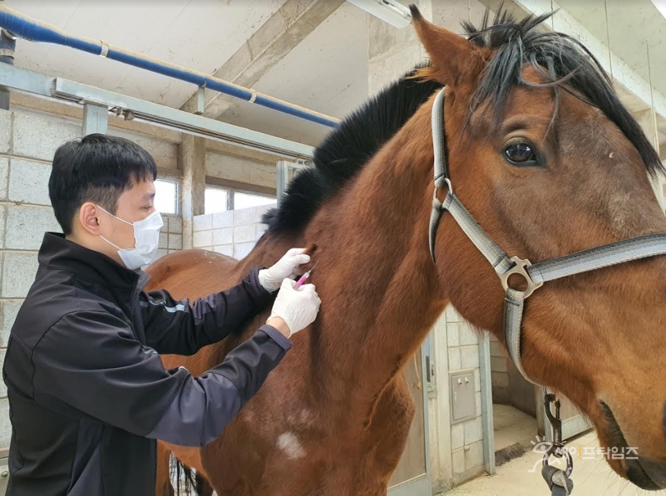 ▲ ⓒ 한국마사회