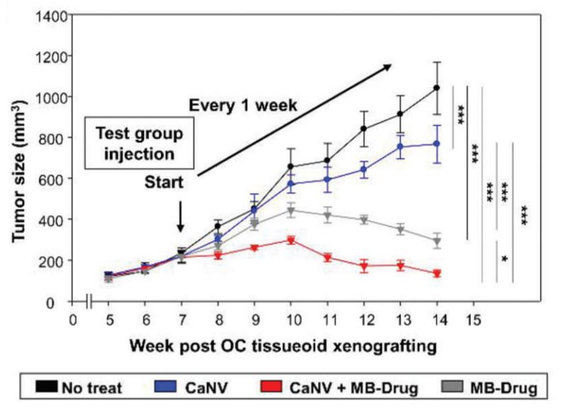 ▲ 마우스 모델에서 치료제 단독 투여했을 때(회색)보다 난소암 치료제를 탑재한 나노베지클을 투여했을 때(빨간색)에 암세포 크기가 더 줄고 있다. ⓒ 세브란스