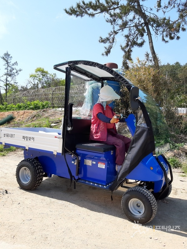 ▲ 전남 신안군이 농촌 노동력 부족해소를 위해 여성 친화형 전기운반차를 공급한다. ⓒ 신안군