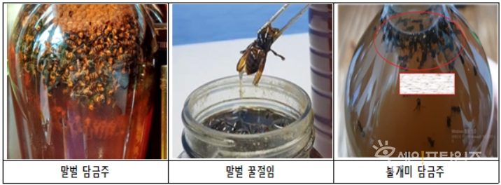 ▲ 식품의약품안전처에 적발된 말벌·불개미 담금주와 꿀절임. ⓒ 식약처