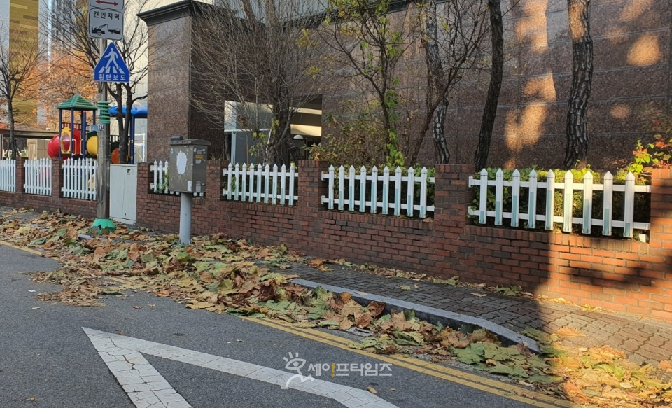 ▲ 대전 중구 선화동 참좋은 아파트 앞 보도에 낙엽이 쌓여 있다. ⓒ 오선이 기자