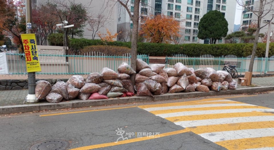 ▲ 서울 도봉구 태영데시앙 아파트 앞에 낙엽을 모은 비닐봉지가 쌓여있다. ⓒ 원덕영 기자
