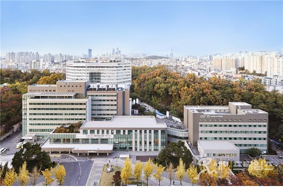 ▲ 서울대병원이 운영하는 서울시보라매병원. ⓒ 보라매병원