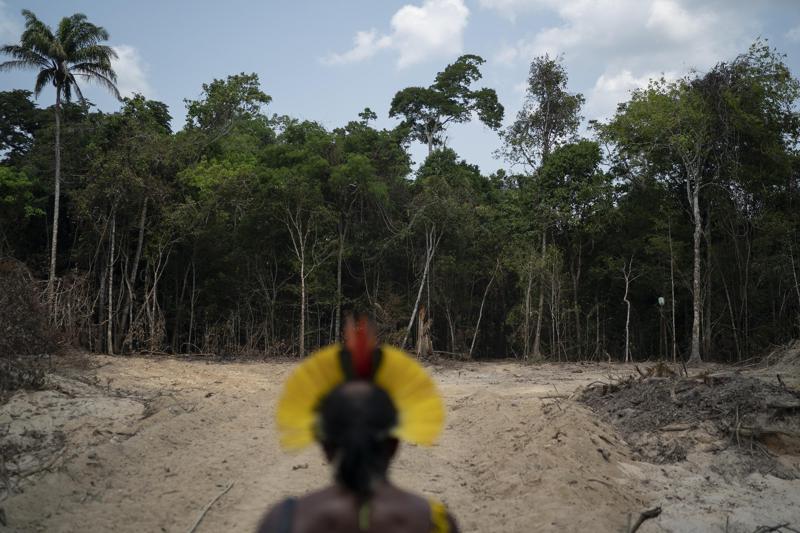 ▲ 브라질의 한 원주민이 파괴된 산림을 바라보고 있다ⓒ AP