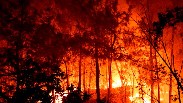 ▲ 맹렬한 무더위가 유럽을 데우는 가운데 포르투갈은 산불로 29명이 부상했다. 당국은 기후변화로 인해 유럽이 더 더워지고 있다고 경고한다. ⓒ Sky News