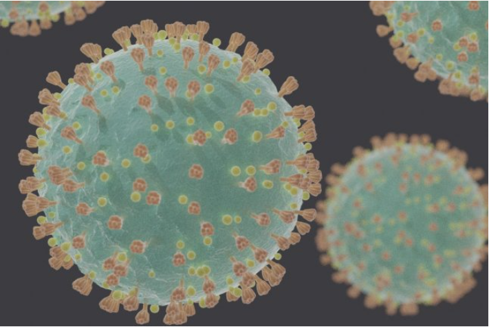 ▲ 컴퓨터그래픽으로 생성한 코로나19 바이러스 입자 전자현미경 사진. ⓒ UPI