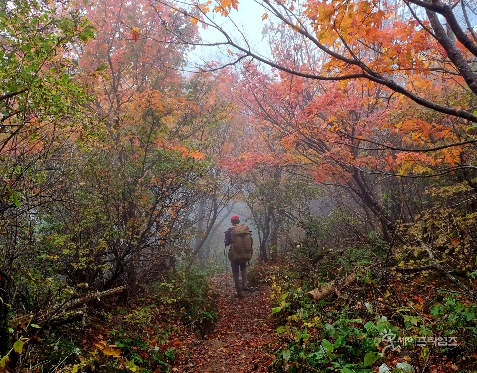 ▲ 경남 함양군 지리산국립공원에서 한 등산객이 산을 오르고 있다. ⓒ 국립공원공단