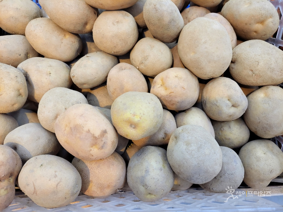 ▲ 경기도농수산진흥원은 학교급식용 친환경 감자 36톤에서 잔류농약이 검출돼 전량폐기조치에 들어갔다. ⓒ 김미영 기자