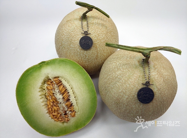 ▲ 사진설명 ⓒ 세이프타임즈