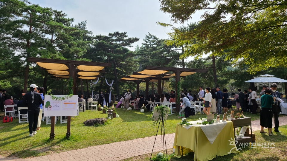 ▲ 예비부부가 서울시 월드컵공원에서 친환경 소풍결혼식을 하고 있다. ⓒ 서울시