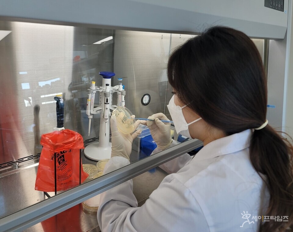 ▲ 충남보건환경연구원이 카바페넴내성장내세균속균종의 감염증 검사를 하고 있다. ⓒ 충남보건환경연구원